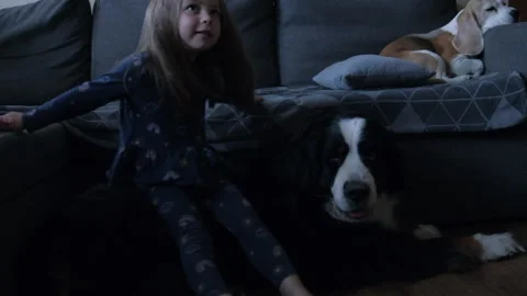 Little girl playing with big dog in Stock Video Pond5