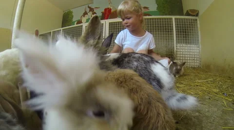Little girl playing with bunnies Stock Footage 59758458
