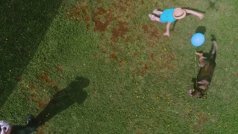 Little girl playing with dog and coloroful baloon at the countryside Stock Footage