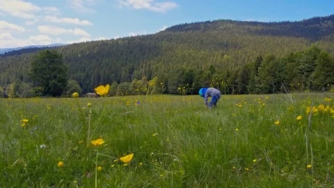 Little girl playing on green grass in mountains Stock Footage 76585053