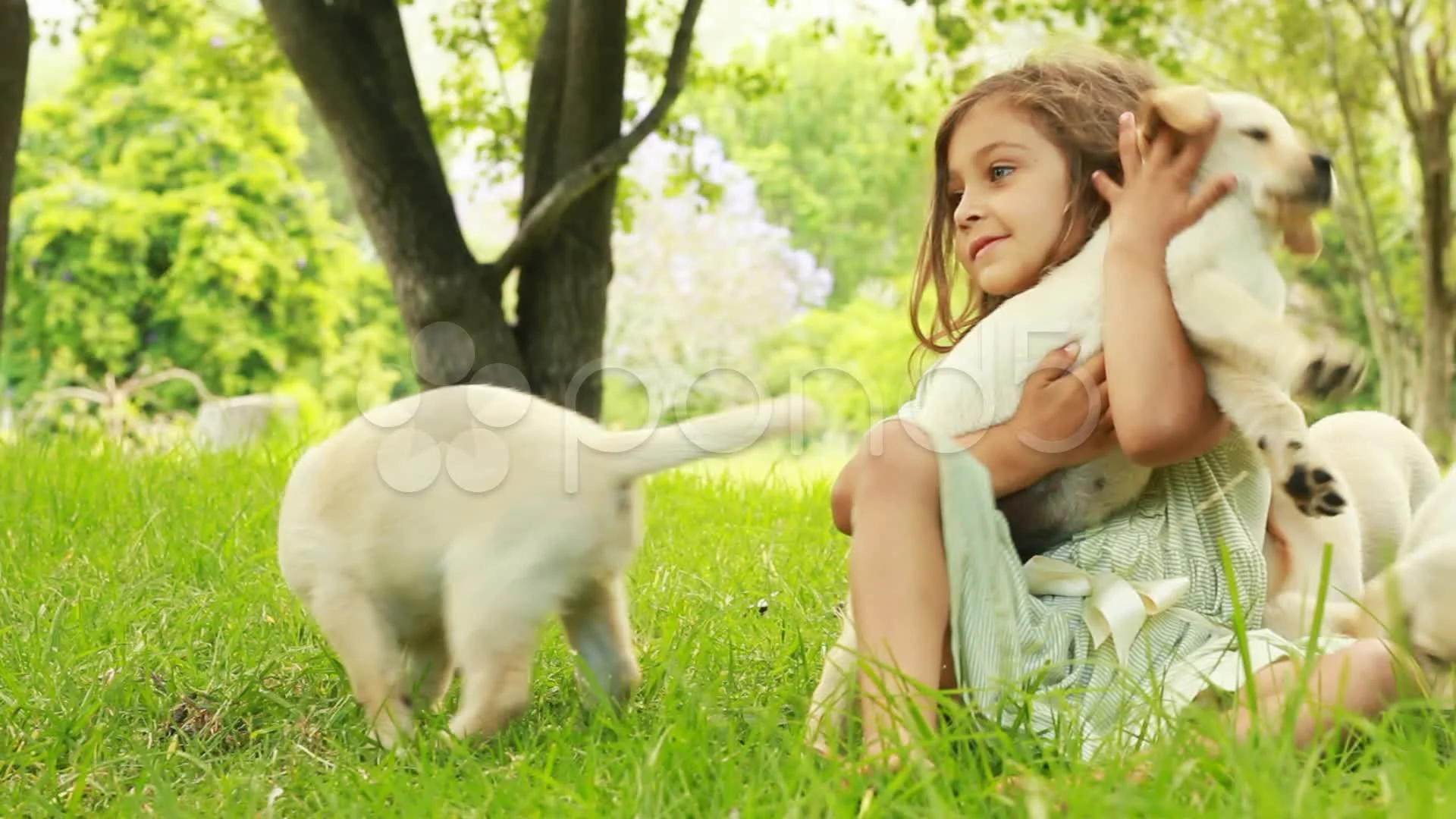 Little girl and store puppy