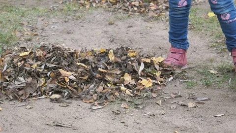 Little girl sweeping the leaves with broom in park Stock Footage