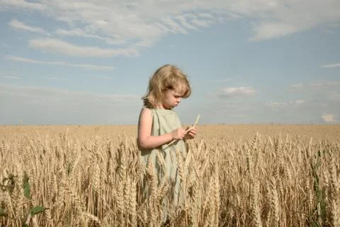 Little girl in a wheat field admires a spike Stock Photos