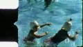 Little GIRLS SWIM Sisters Play Kids Fun 1960 (Vintage Film Home Movie) 5126 HD Footage