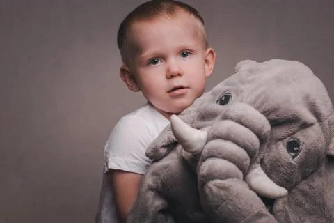 Little handsome boy blond hugs a plush elephant Stock Photos