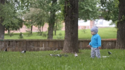 Little handsome boy in blue jacket runs across the lawn to the birds in the city Video stock 106900718