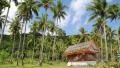 Little house amongst palms on the Koh-Chang island, Thailand HD Footage