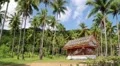 Little house amongst palms on the Koh-Chang island, Thailand HD Footage