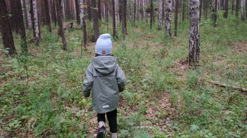 Little kid in grey jacket wanders along dense forest Stock Footage 156308922
