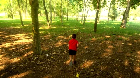 Little kid running through the trees of a forest. Aerial view. Stock Footage 92308938