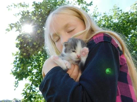 Little kitte Stock Photos