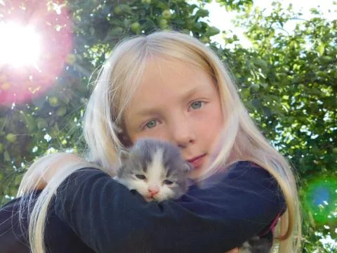 Little kitten Stock Photos