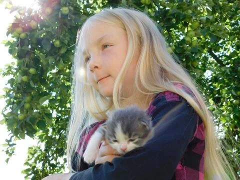 Little kitten Fotos Stock