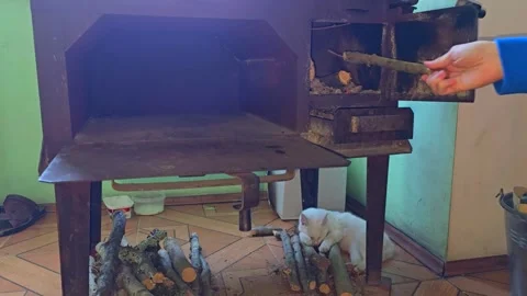 A little kitten rests on the logs while a young man adds firewood to the stove Stock Footage 301091341