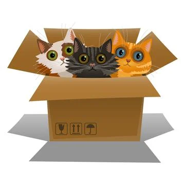 Little kittens in a cardboard box. Three cats is looking out of a box. Vector Stock Illustration