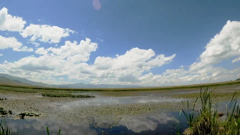 Little lake timelapse Stock Footage 296171645