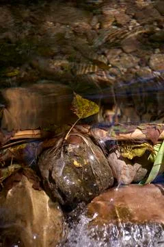Little leaf falling down a little waterfall Stock Photos
