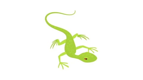 Little lizard icon animation Stock Footage 168928037