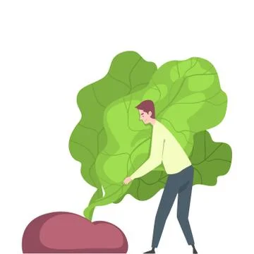 Little Man Pulling Huge Beet out of the Ground Vector Illustration Stock Illustration