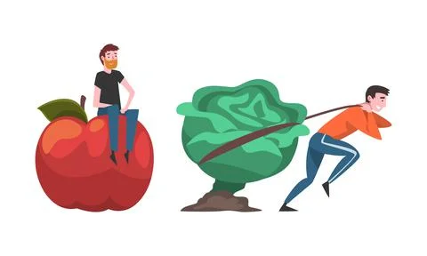 Little Man Pulling Huge Cabbage out Ground and Sitting on Apple Vector Set Stock Illustration