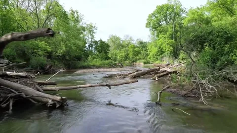 Little Miami River Stock Footage
