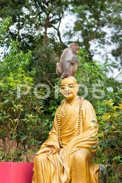 Little monkey sitting on buddha statue head Stock Photos