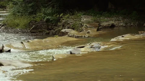 Little mountain river Stock Footage 65797494