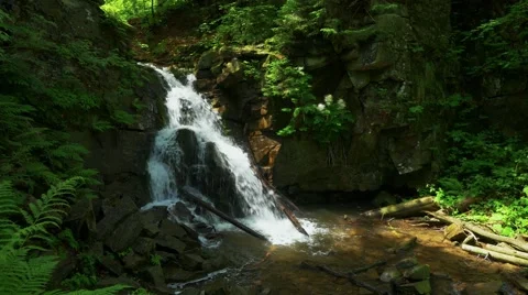 Little mountain river in the forest. Stock-Footage 64592793