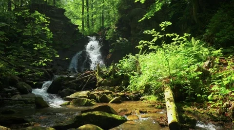 Little mountain river in the forest. Stockbeeldmateriaal 64592875
