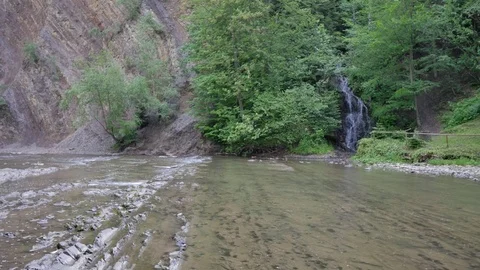 Little mountain river in the forest. Vídeos de archivo 77589210