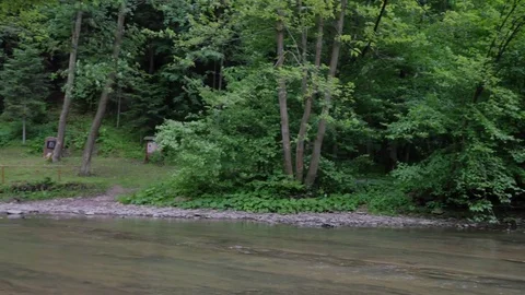 Little mountain river in the forest. Video stock 77589216