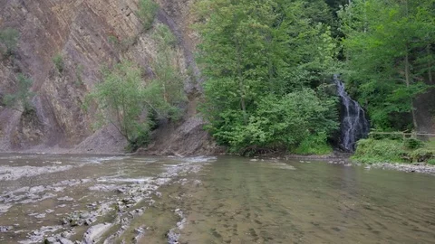 Little mountain river in the forest. Stock Footage 77589242