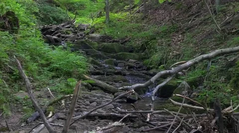 Little mountain river in the forest. UHD footage. Stock-Footage 67862759