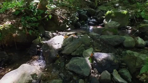 A little mountain river forms a waterfall in the forest. Hike along the Stock Footage 188268574