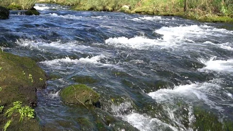 Little mountain river running through an autumn landscape with trees Stock Footage 86418947