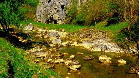 Little mountain stream passing over rocky  bottom during sunny spring day Stock Footage 141154730