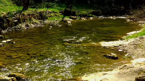 Little mountain stream passing over rocky  bottom Vidéo 141154949