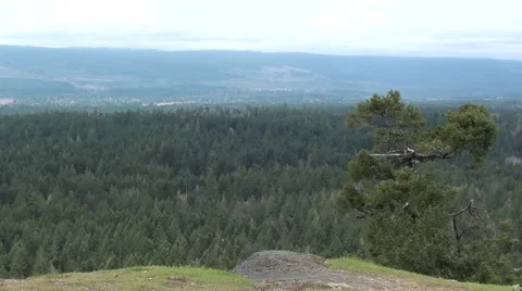 Little Mountain View V.I..m2ts Stock Footage 3469418