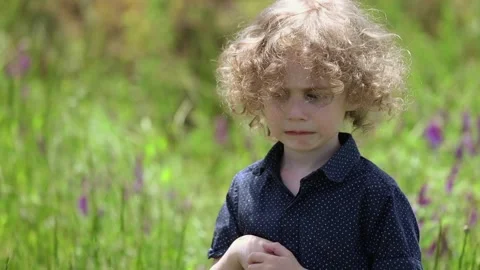 A little naughty boy in a field with wild flowers. Portrait Stock Footage
