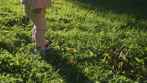 Little one exploring a green park on a sunny afternoon in autumn Stock Footage 307112219