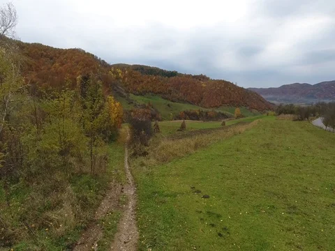 Little path and road Stock Footage 82007178