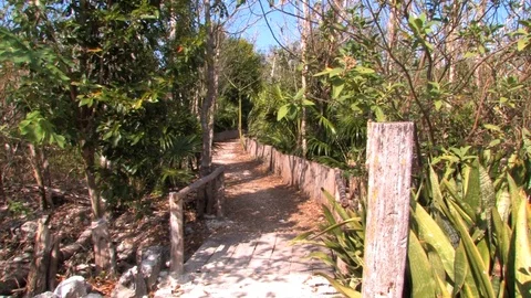 Little path Video stock 94136694