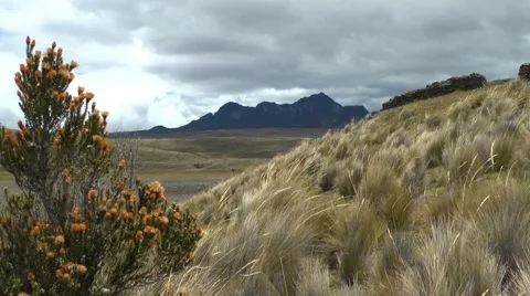 Little Pichincha in the Distance Stock Footage