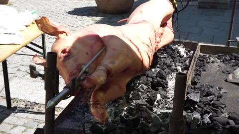 Little pig on the grill Video stock 246835229