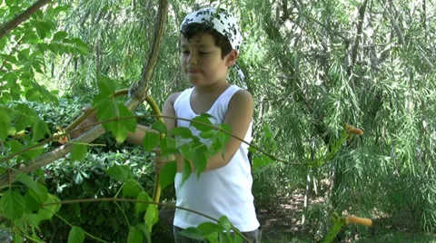 Little pirate Stock-Footage 31652642