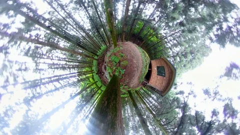 Little planet view in forest.. Video stock 121800741