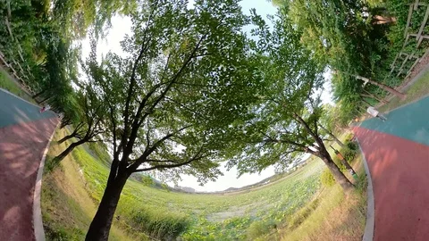 Little Planet View of Pathway in Ansan Hwarang Recreation Area Stock Footage 110771601