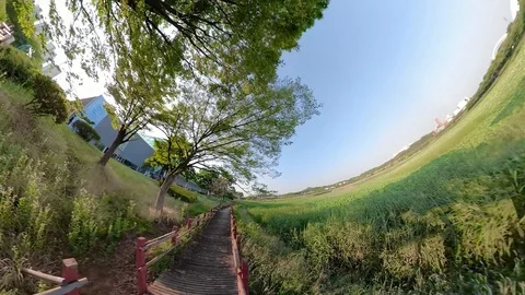 Little Planet View of Pathway in Ansan Hwarang Recreation Area Stock Footage 110771657