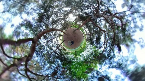 Little Planet View of Pine Forest in Ansan Hwarang Recreation Area Vidéo 110771696