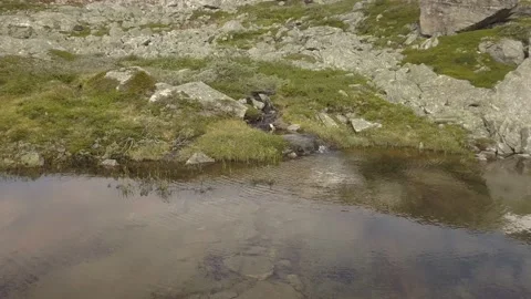 Little pond in the mountains Stock Footage 233666412